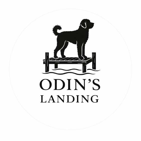 odinslanding